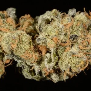 Girl scout cookies