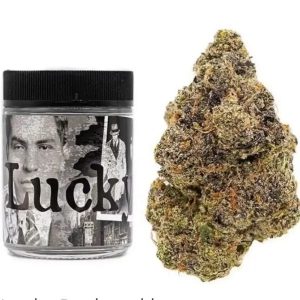 Lucky Strain | Backpackboyz